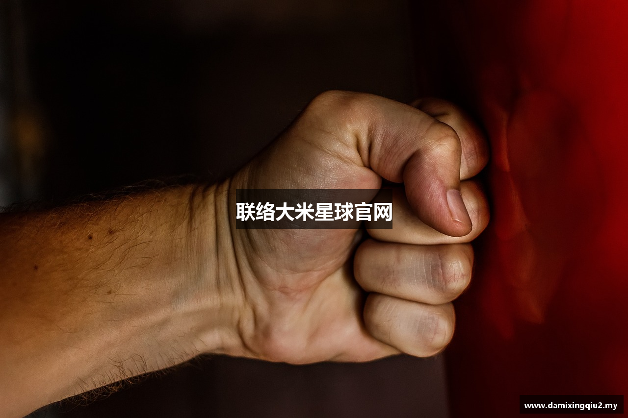 联络大米星球官网